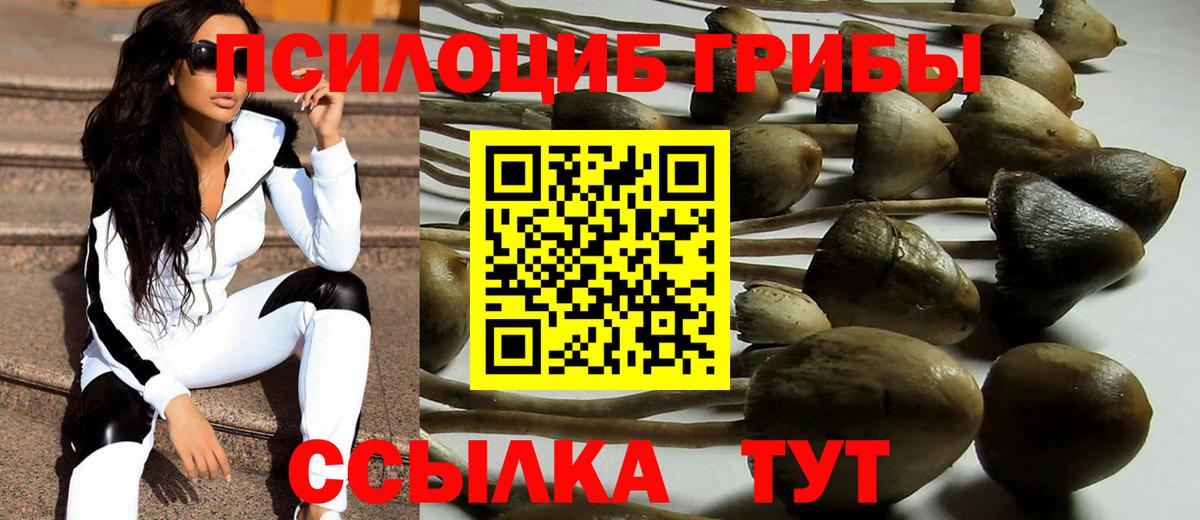 Галлюциногенные грибы Psilocybe Фрязино