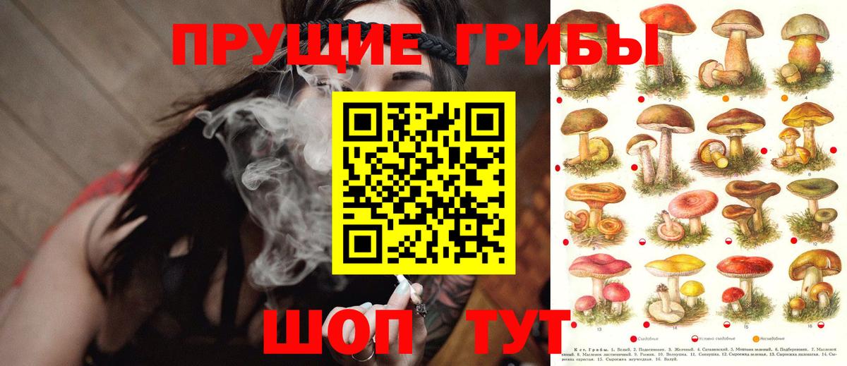 Фрязино  Галлюциногенные грибы Psilocybe  Псилоцибиновые грибы GOLDEN TEACHER  Вход с VPN 